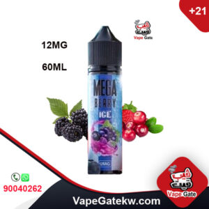 Mega Berry Mint 12mg 60ml. a flavor of different types of berries with touch of ice like; red berry, blue berry and black berry. with touch of sweetness, freebase vape juice