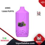 Flexbar Grape 20mg 12000 puffs